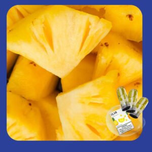 ILIA煙彈 ILIA電子煙  台灣現貨